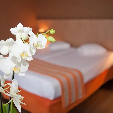Hotel Theater Antwerp